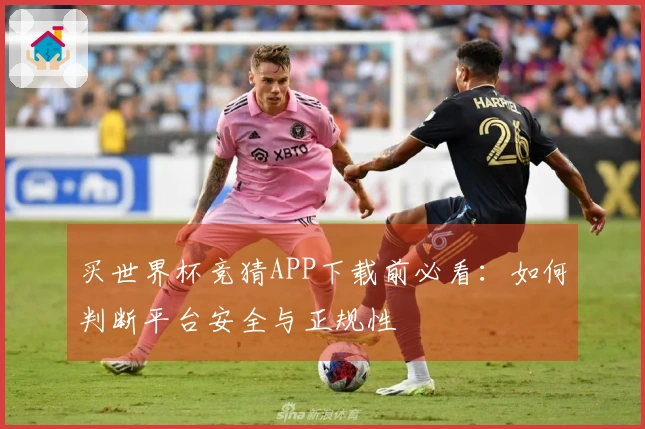 买世界杯竞猜APP下载前必看：如何判断平台安全与正规性