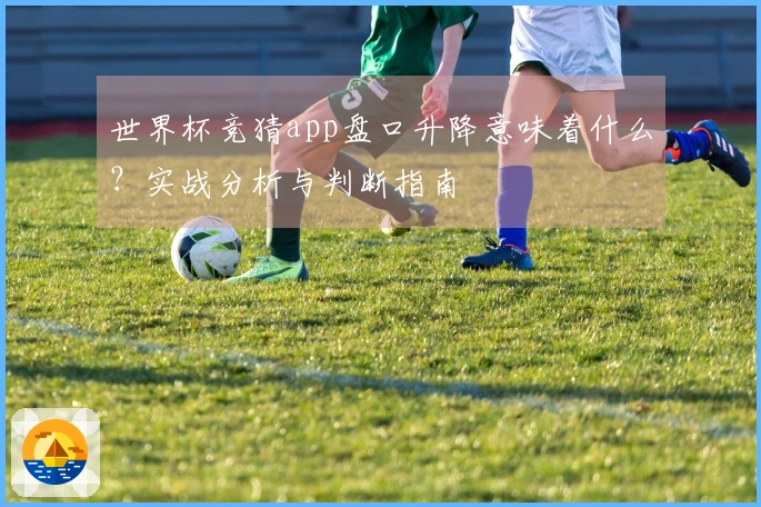 世界杯竞猜app盘口升降意味着什么？实战分析与判断指南