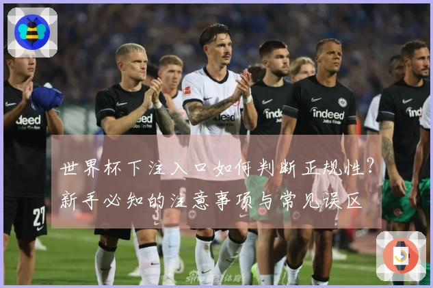 世界杯下注入口如何判断正规性？新手必知的注意事项与常见误区